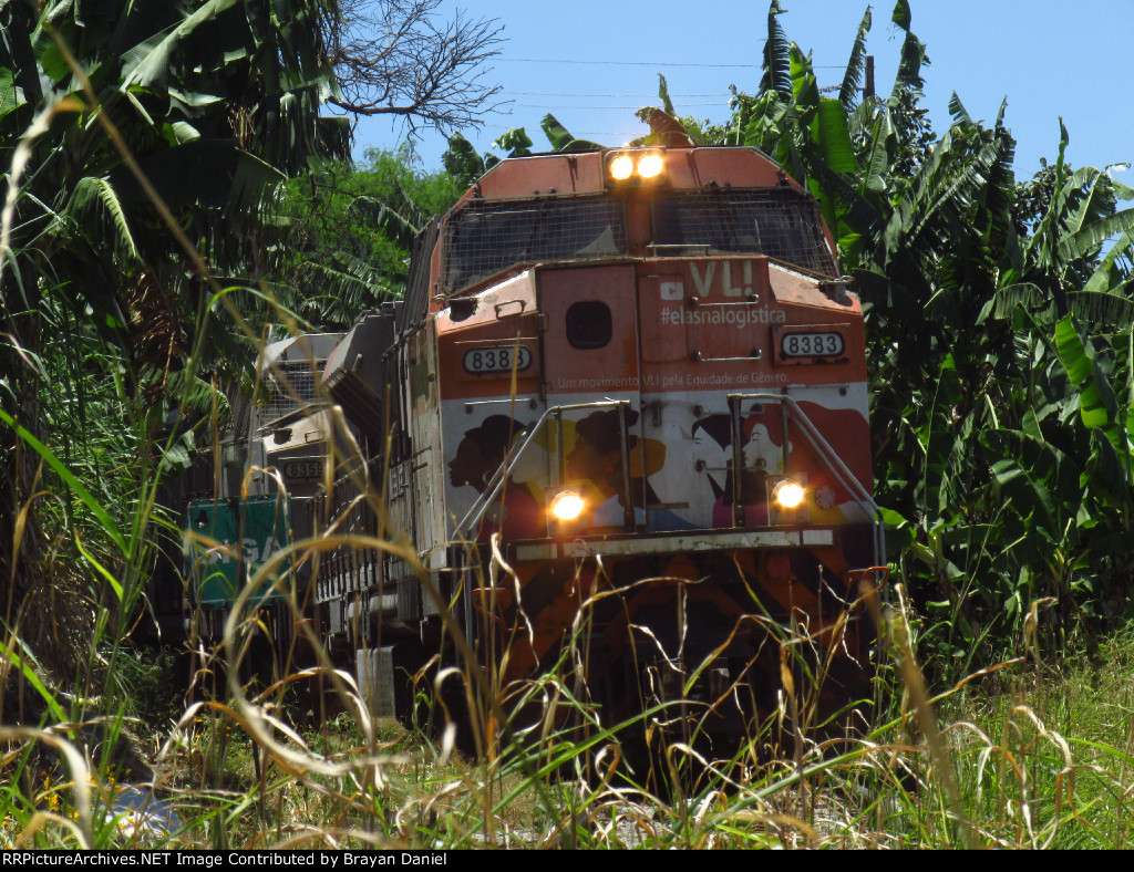 VLI 8383